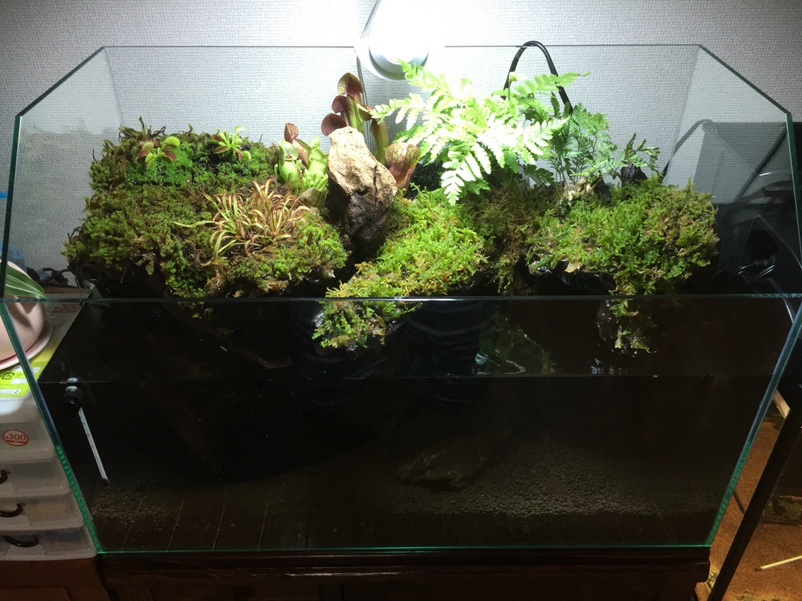 ed743a6e67a37d754d62a3fd25954e